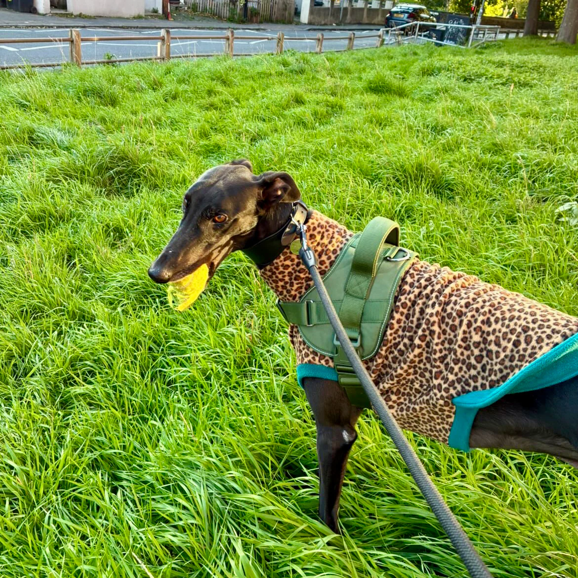 Wild Animal Print Fleece Jumper for Dogs - Image 3