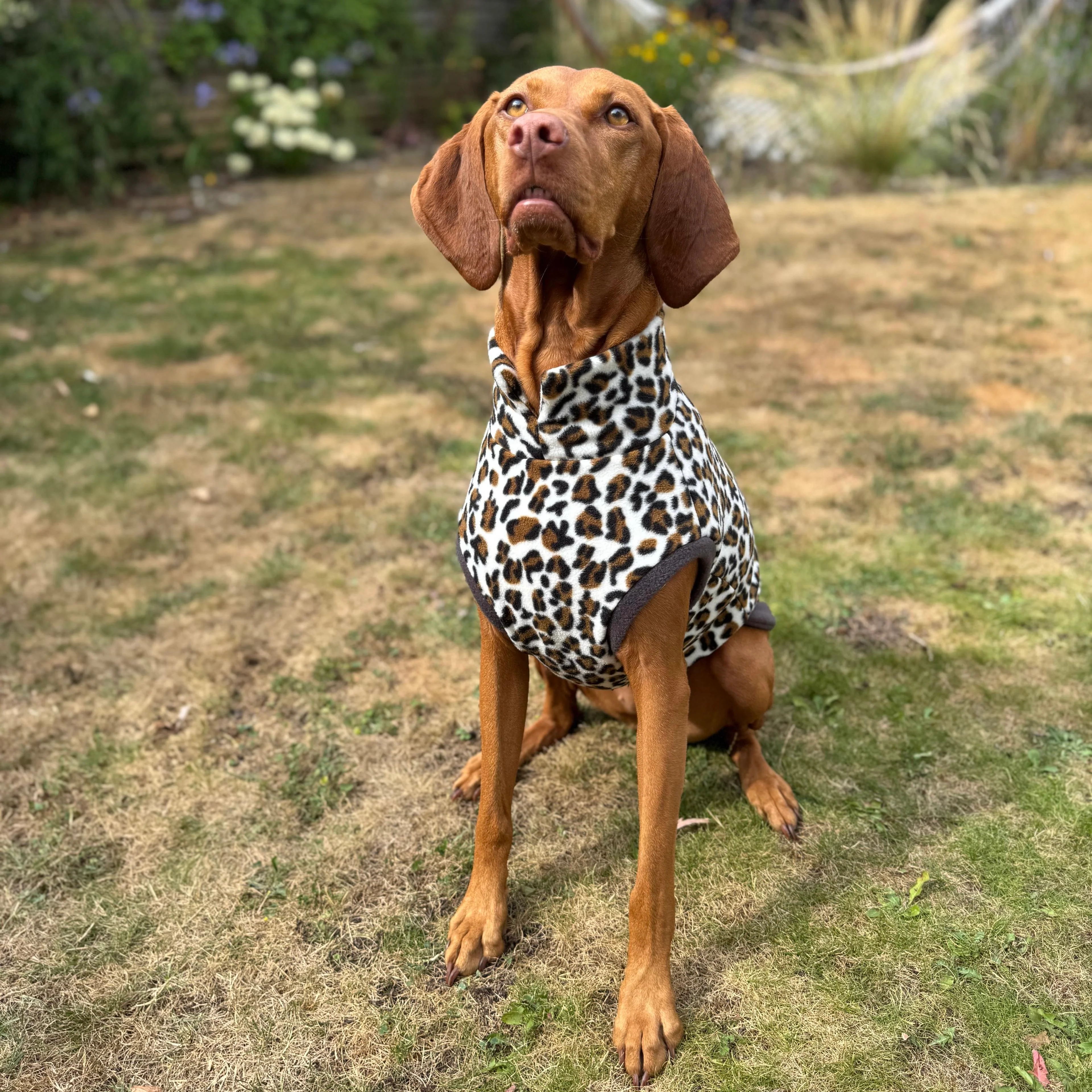 Wild Animal Print Fleece Jumper for Dogs - Image 5