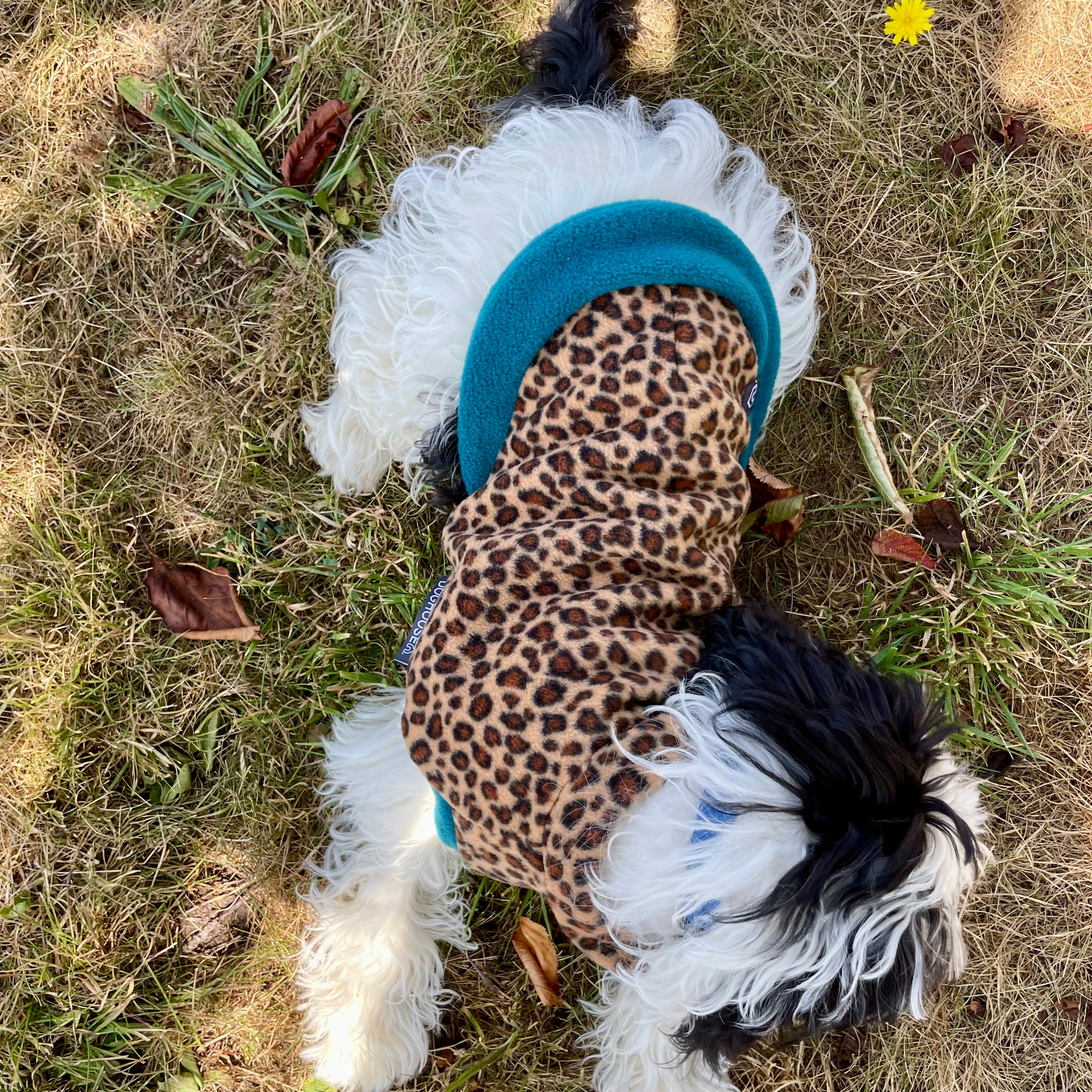 Wild Animal Print Fleece Jumper for Dogs - Image 6