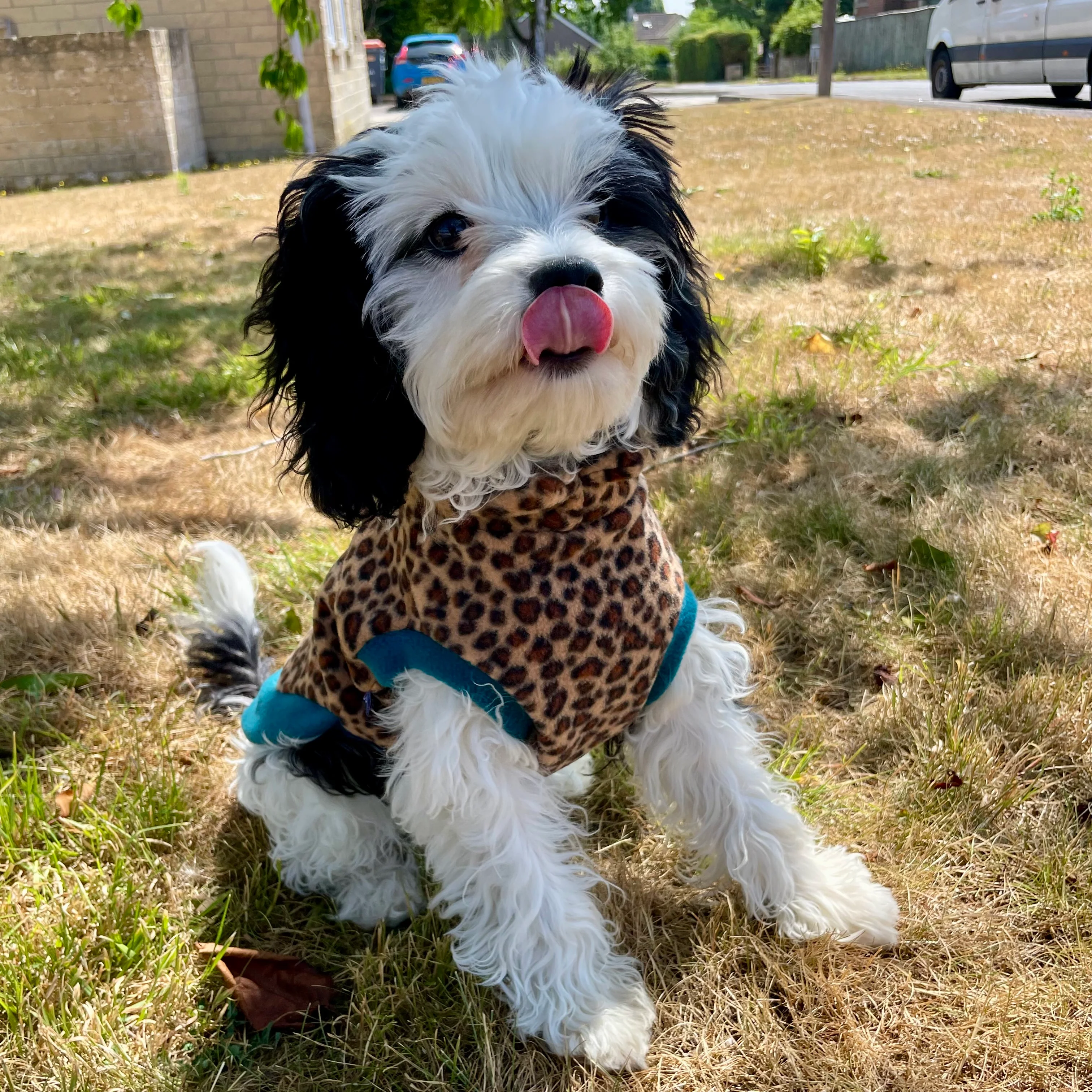 Wild Animal Print Fleece Jumper for Dogs - Image 7