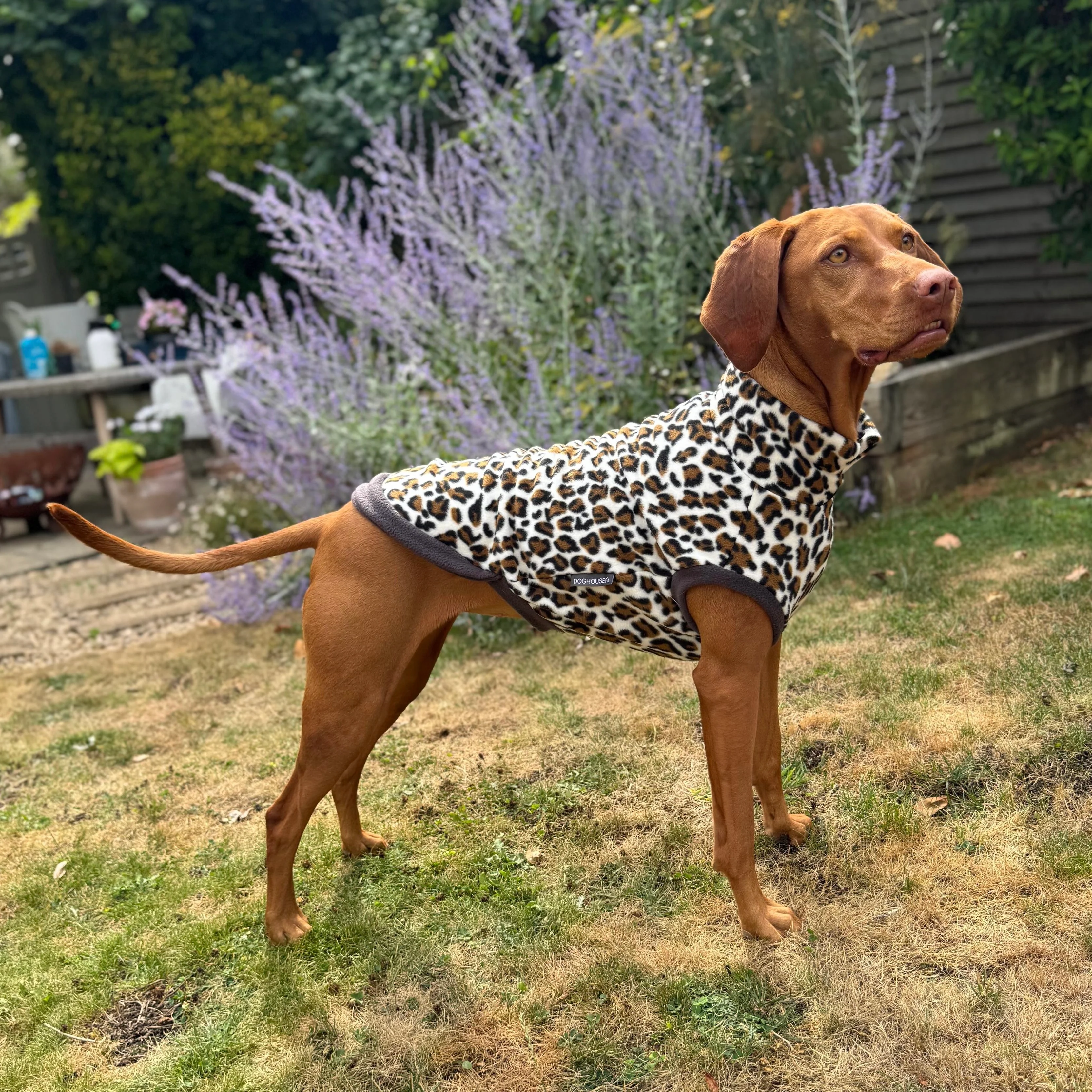 Wild Animal Print Fleece Jumper for Dogs - Image 8