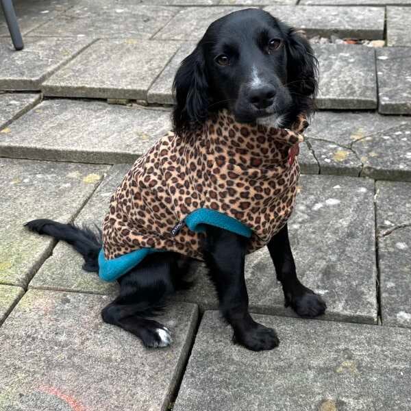 Wild Animal Print Fleece Jumper for Dogs - Image 9