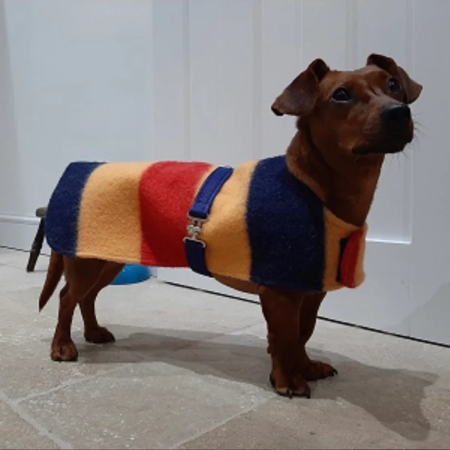 Witney Dachshund Rug Coat - Image 6