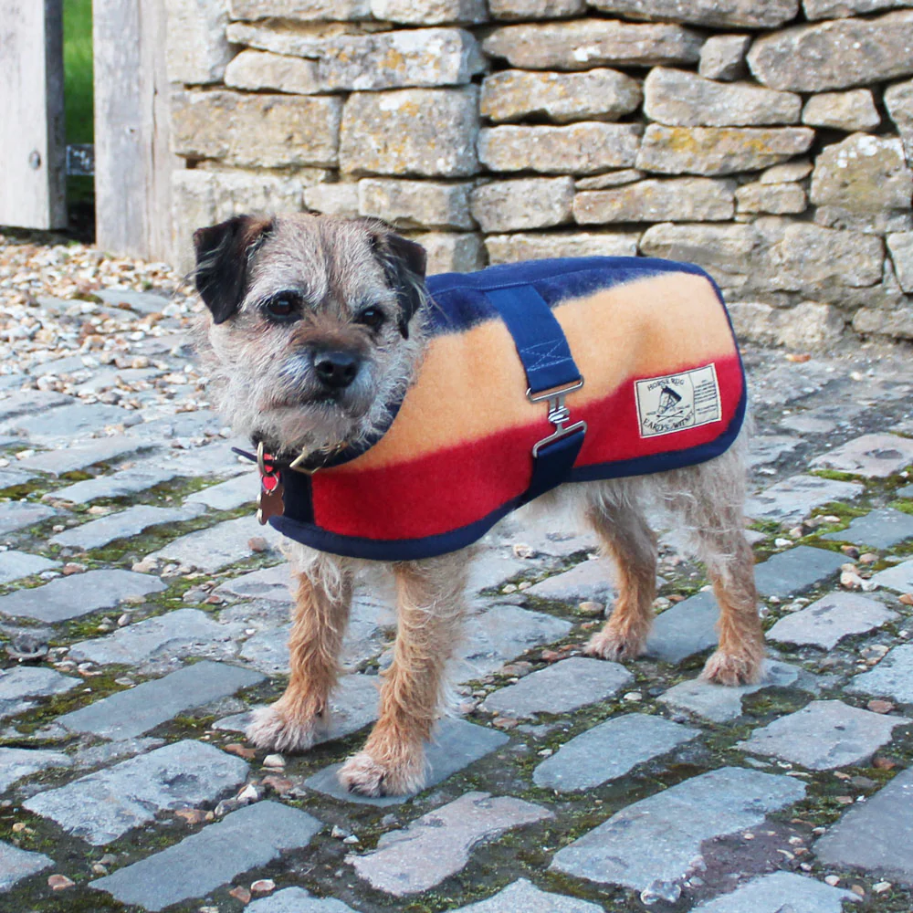 Witney Wool Dog Rug Coat in 7 Sizes - Image 3